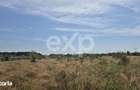 Teren intravilan de vanzare in Trivale - zona Magic | 500 mp