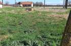 Ferma zoothenica 5.85 hectare - 7