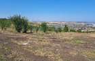 Teren Construcții intravilan de 2027 mp, în Dezmir - 4