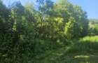 Teren 2600 m2 Ocnele Mari intravilan - 5