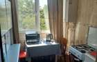 De Inchiriat - Ap. 2 Camere - Pet Friendly -Tiglina 1/Parc Viva - 3