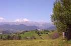 Teren 970mp sat Magura Moieciu cu panorama spectaculoasa - 10