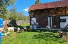 Casă individuală cu 2 camere cu Teren 4283 Mp în Cotmeana - 4