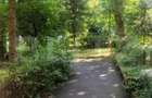 Apartament 4 camere, 84 mp, parter, Tudor - 12