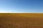 9,2 ha teren agricol la Poiana Mare judetul Dolj - 1