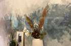 Apartament cu 4 camere decomandat în Băneasa - 3