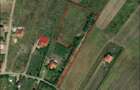 Teren intravilan - Saldabagiu de munte - 5000 mp. - IMOBIHOR - 3