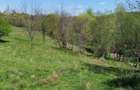 Teren de vis la munte 7.795 mp construibil parau, padure, fara vecini Valcea - 7