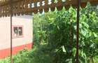 De vanzare Casa la Ungaria! - 1