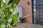 Vile PARK Residence 3 Lumina posibilitate rate - 15