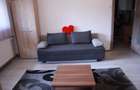 Apartament 2 camere strada uranus - 5