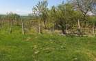 Vand teren intravilan - 3