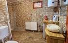 Casa de vanzare, sub padure, intr-un cadru natural deosebit Sancra - 14