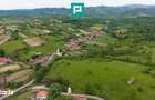 Proprietate de poveste-Valea Mure?ului - Lupe?ti - 3