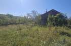Casă individuală cu 4 camere cu Teren 4873 Mp în Pietroasa - 4