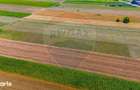 TEREN extravilan- 6 E/MP- CU PLANTATIE DE TRANDAFIRI! Teliu 7000mp