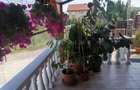 Casa individuala 310mp utili, 8 camere, piscina - 8