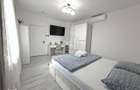 Studio la duplex curte proprie 150 mp zona Centrala - 17
