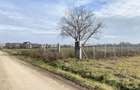 Teren intravilan de 2409 mp, în Afumați - 1
