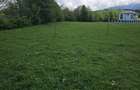 Vand pensiune Tohanu Nou jud Brasov - 7