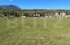 Teren intravilan Bran - 1