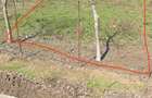 Proprietar Fundulea teren 940 mp asfalt - 4