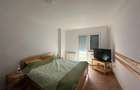 VIGAFON - Pensiune-casa de vacanta Predeal - 11