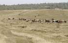 13 hectare de pasuni / agricol la Breznita-Motru in judetul Mehedinti - 1