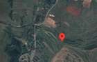 teren extravilan 11600 mp de vanzare Ciumafaia - 2