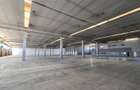 Hala industriala Timisoara, 2500 - 7500 mp , Calea Sagului - 4