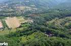 CASTEL DE VANZARE IN MARAMURES - 10