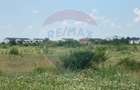 Teren intravilan de 600 mp, în Sisești - 18