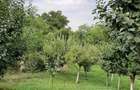 Casă cu 4 camere în Măgurele - 2