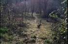 Vand teren intravilan - 3
