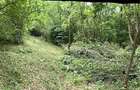 Vand teren intravilan zona A Triaj Re?i?a - 4