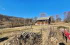 Proprietate 8.915 mp intravilan Sat Gales, Arges - 2