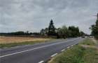 Teren Ciolpani intravilan