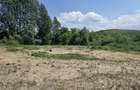 Teren Construcții intravilan de 1000 mp, în Sud-Est - 3