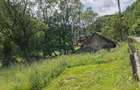 Teren de 4500 mp, în Muntele Băișorii - 5