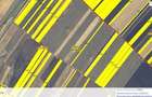 3 terenuri extravilane Havarna, ID: 19006 - 13