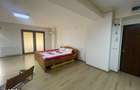Studio open-space, 42 mp, zona Brazda lui Novac