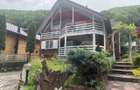 Cabana autentica de munte Frasinet - Baisoara 600 mp teren - 9