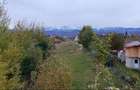 Pestera, satul de poveste din Brasov, 3456 mp teren - 1