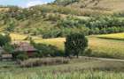 Gospodarie Completa si Autosustenabila de Vanzare Sanger, Mures (Transilvania) - 4