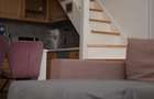 Apartament tip loft in zona garii | Str. Horea - 4