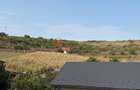 Teren Sorogari, 19000mp, 35euro/mp
