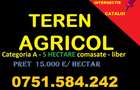 TEREN AGRICOL- categoria A - CATALOI - 1