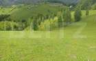 Teren cu fundatie de cabana, intabulat, 1.093 mp Satul Pestera, co