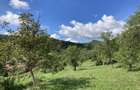Teren Ampoita 1053 mp (2 parcele alipite 360 si 693 mp) - 2