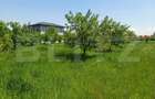 Teren de vanzare intravilan, 72 ari, zona Salcea - 1